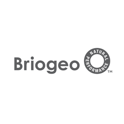 Brigeo